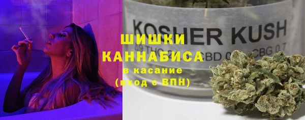 твердый Дмитриев