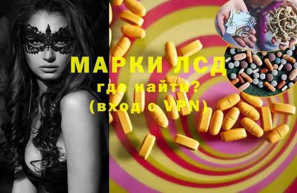 стафф Дмитров