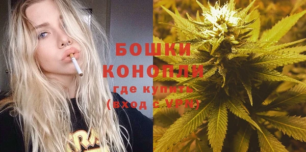 молекула духа Дмитровск
