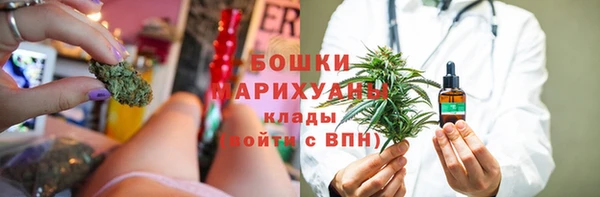 твердый Дмитриев