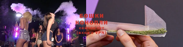 молекула духа Дмитровск