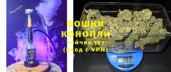 стафф Дмитров