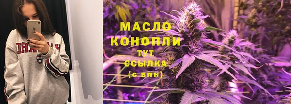 твердый Дмитриев