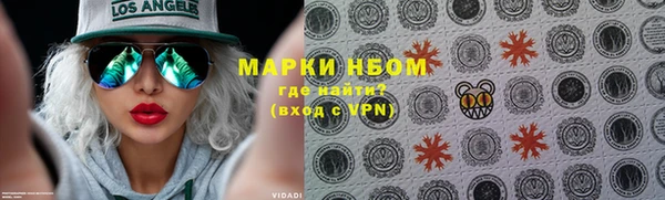 стафф Дмитров