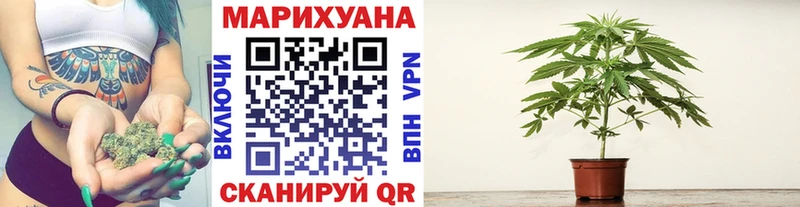 Шишки марихуана OG Kush  Купить закладки  Невель 